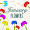 January Flowers!