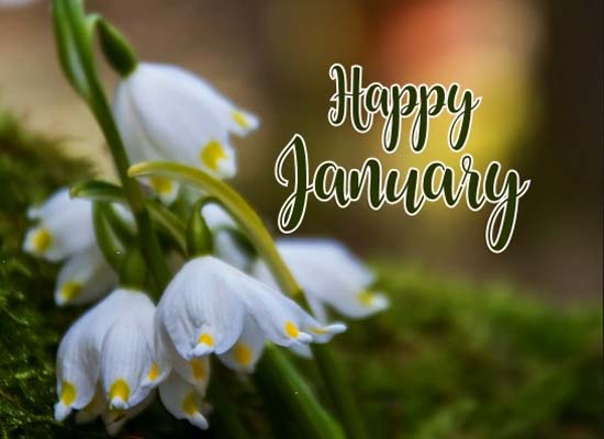 Beautiful January Flowers Wishes Free January Flowers eCards | 123 ...