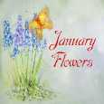 Happy Times, Unlimited Joy &#x26; Success!