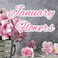 Flowers To Wish You Happy First Month.