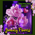 Sending January Flowers To You.
