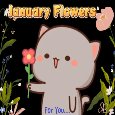 January Flowers Ecard Just For You.
