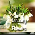 January Flowers Of Hope!