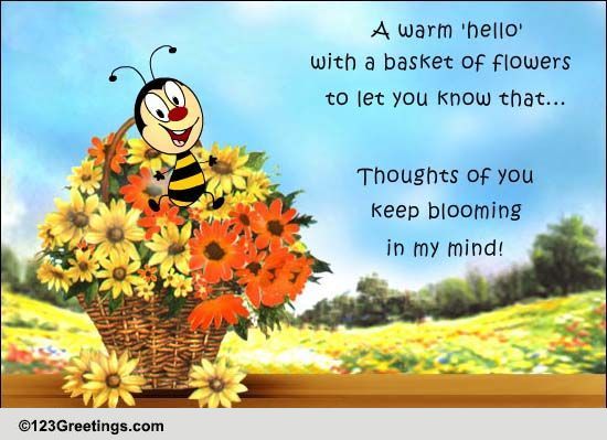 A Warm Hello...