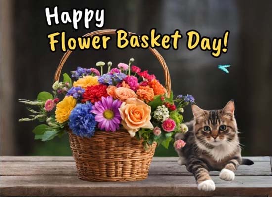 Beautiful Flowers For You!