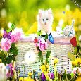 Sending This Basket Of Flowers To You.