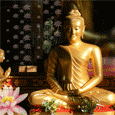 Blessings Of Lord Buddha...
