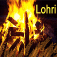 Happy Lohri Greetings.