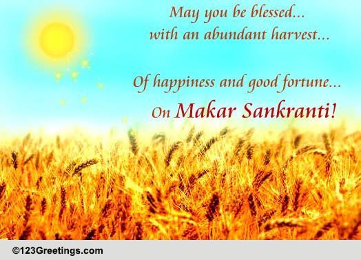 Harvest Of Happiness!