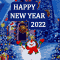 Sparkling New Year 2022!