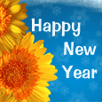 New Year Family Wish...