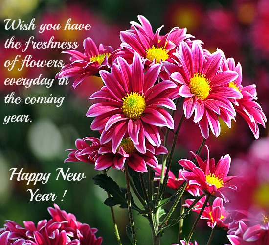 Fresh Flowers For The New Year! Free Flowers eCards, Greeting Cards ...