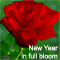 New Year In Full Bloom!