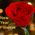 A Rose On The New Year 2022...