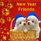 Say, Happy New Year Buddy!