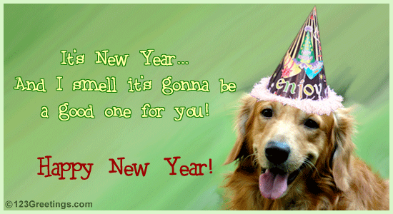 Send New Year Fun Greetings!