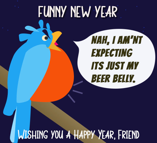 Funny New Year, Bird