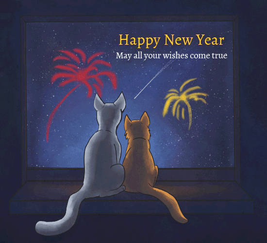 Happy New Year Firework Cats.