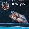 New Year Kitty Fireworks