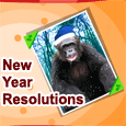 Fun Resolutions On New Year!