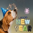 A New Year’s Resolution.