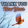 Send Thank You For New Year Wishes