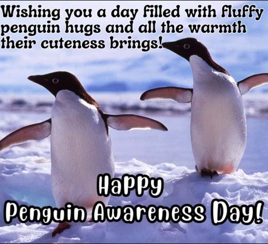Hugs And Warmth Of Penguins.