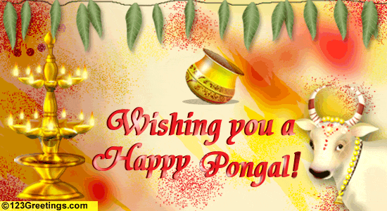 Happy Pongal!
