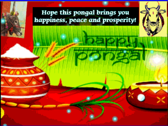 Rejoice It Is Pongal!