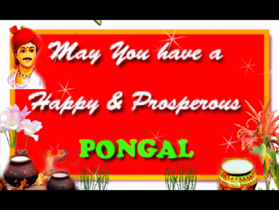 Happy Pongalo Pongal To You!