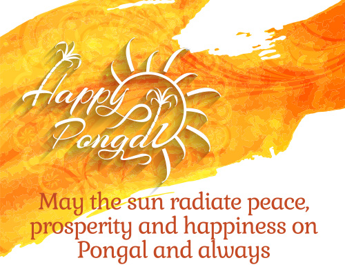 Radiate Peace This Pongal.