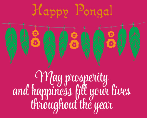 Happy & Prosperous Pongal.