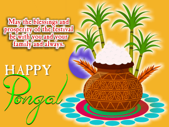 A Happy Pongal Celebration Ecard.