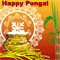 Pongal Joy, Warmth And Prosperity.