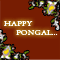 Have A Colourful Pongal!