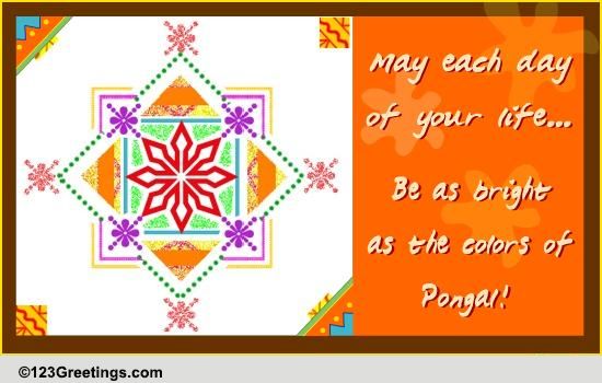 Colors Of Pongal!