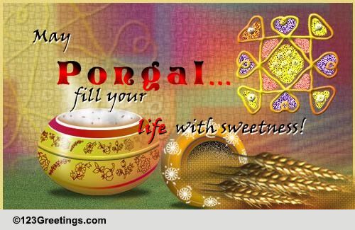 Fill Your Life With Sweetness!