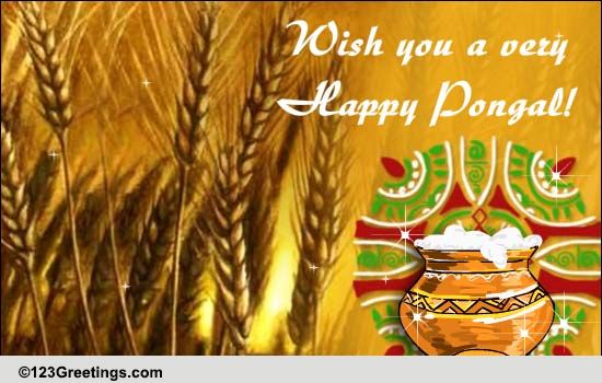 Pongal Cards, Free Pongal Wishes, Greeting Cards | 123 Greetings