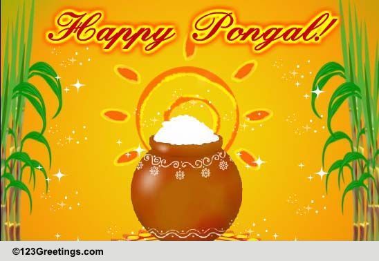 Sweet Flavor Of Pongal...