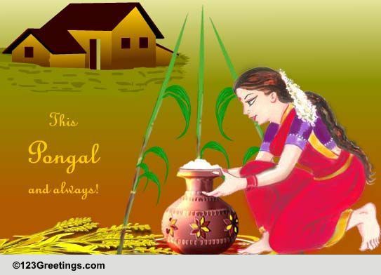 Warm And Thoughtful Wishes On Pongal.
