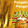 Warm Wishes On Pongal.