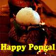 Sweet Pongal Wishes!