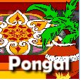 Happy Pongal Wishes!