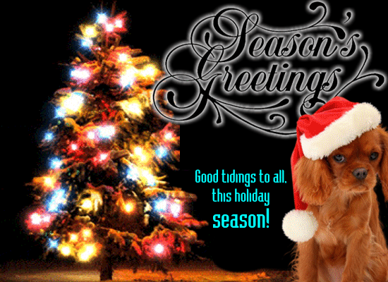 Good Tidings To All!