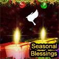 Season&apos;s Greetings... Happy Holidays!