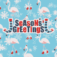 Season’s Greetings Flamingos!
