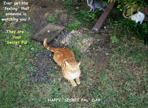 Secret Pal Day Cards, Free Secret Pal Day Wishes, Greeting Cards | 123 Greetings