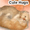 Cute Hugs On Send A Hug Day.