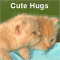 Cute Hugs Are Meant For You!