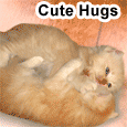 Cute Hugs On Send A Hug Day.